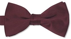 11th Doctor's Bowtie